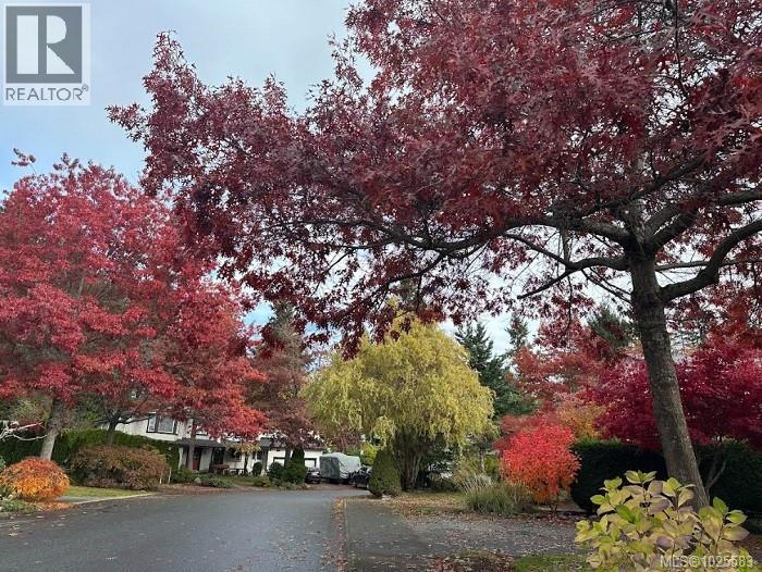 2260 TAMARACK DR - 46