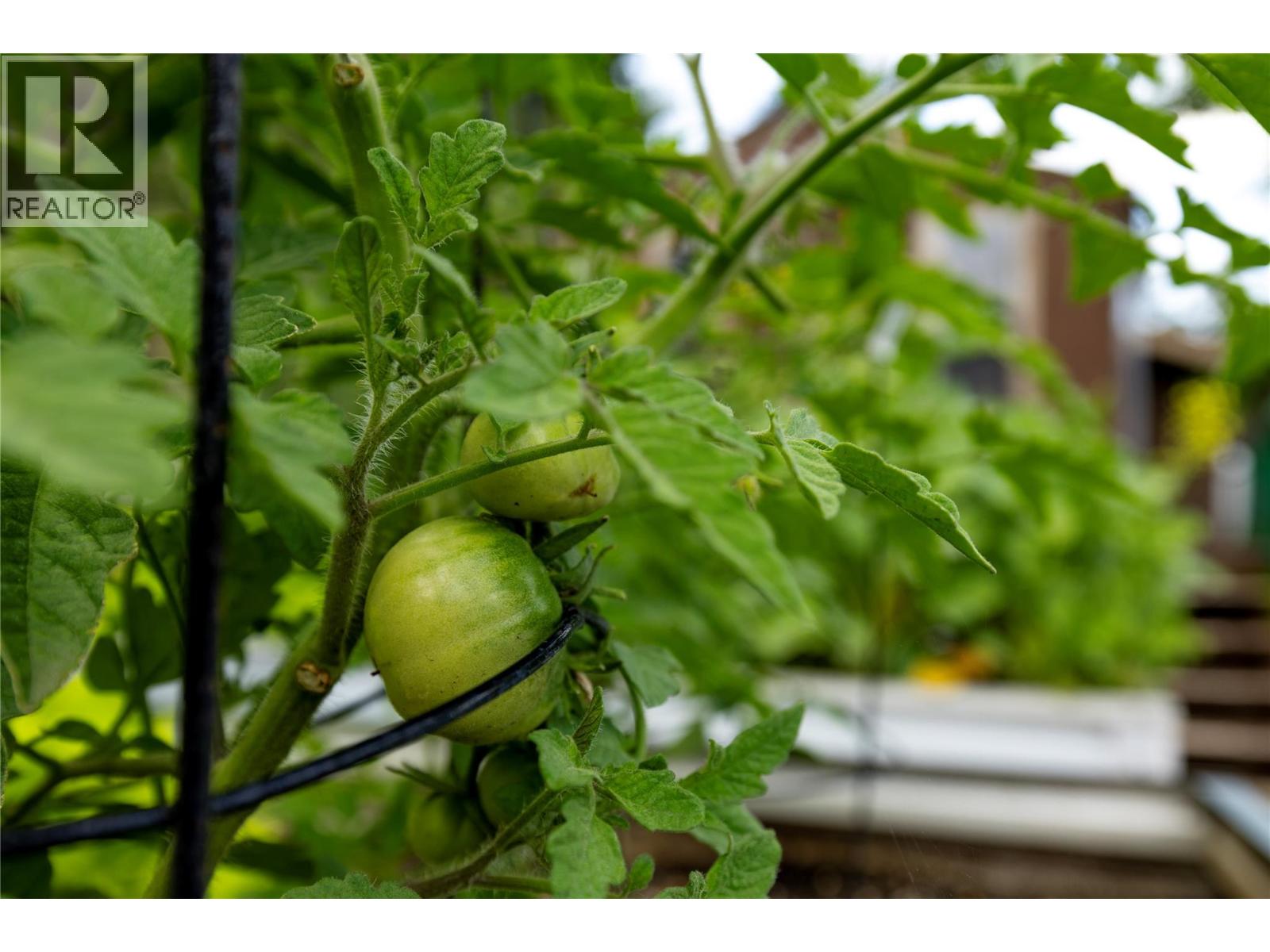 16904 Gatzke Road, Lake Country