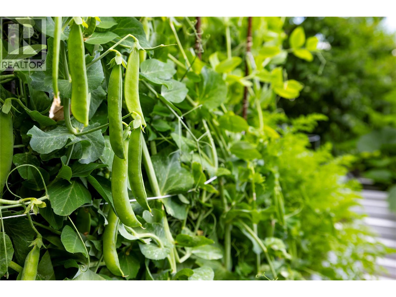 16904 Gatzke Road, Lake Country