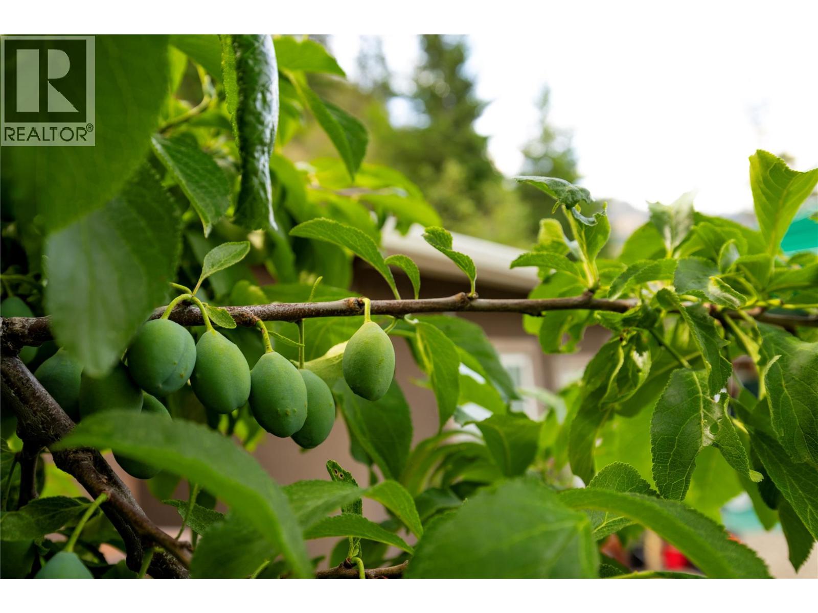 16904 Gatzke Road, Lake Country