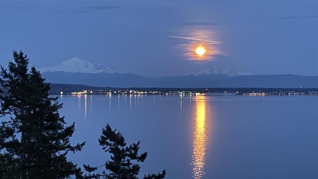 13026 13 AVENUE, Surrey