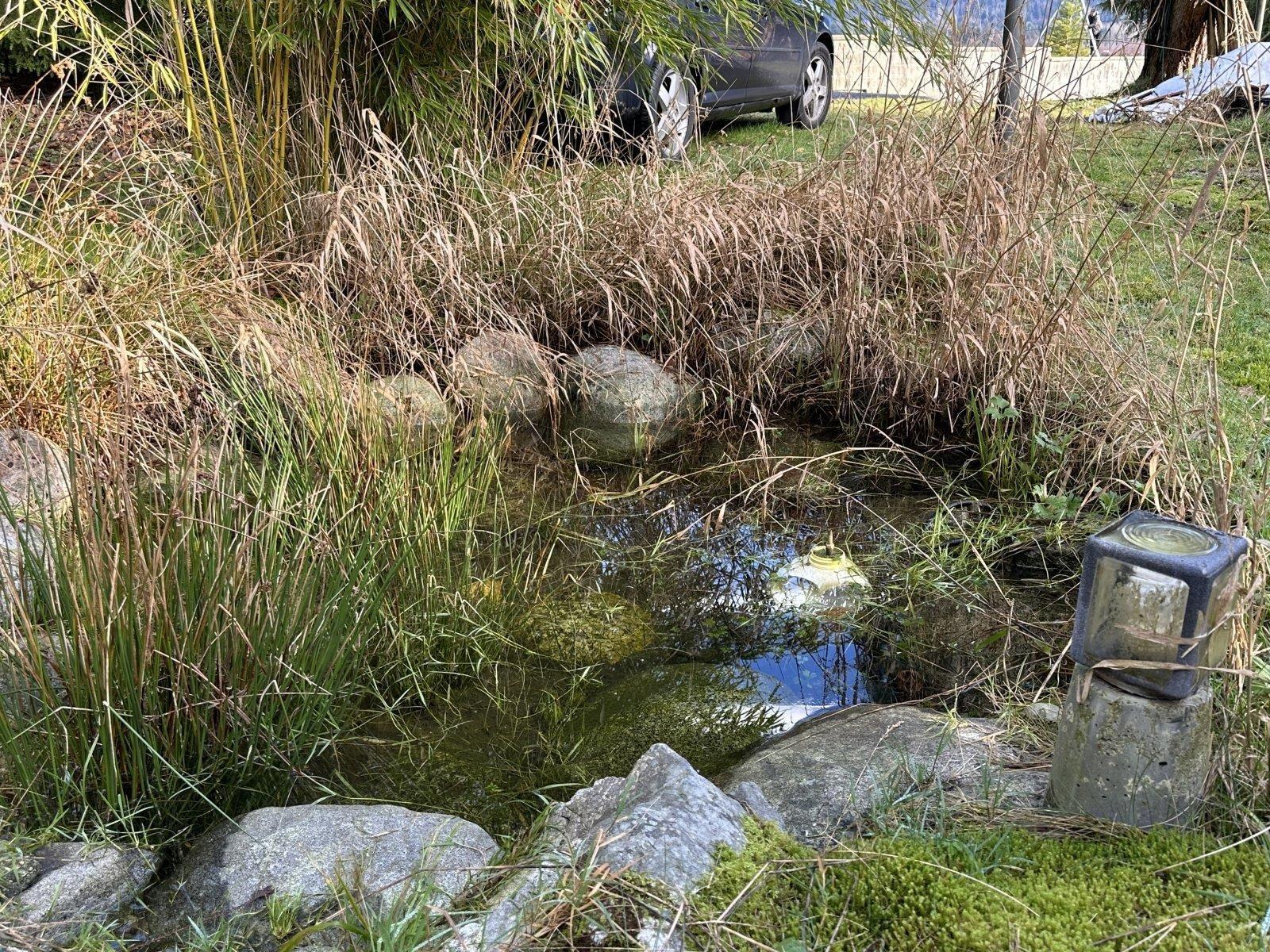 11191 STAVE LAKE ROAD, Mission