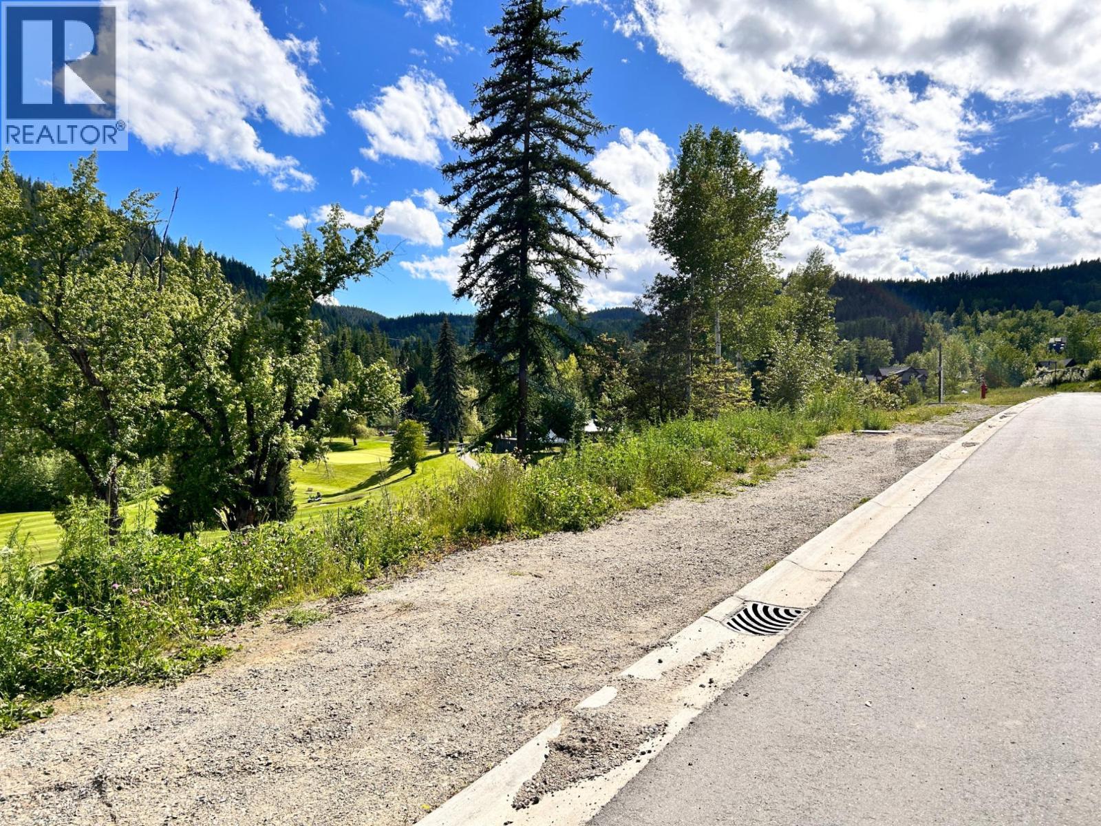 445 COPPER Road, Rossland