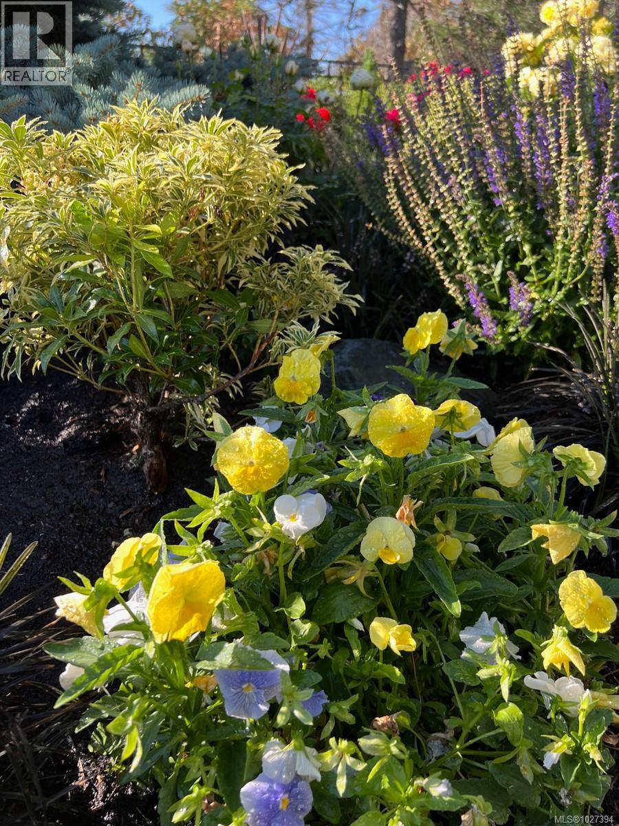  2061 Pinehurst Terrace, Langford