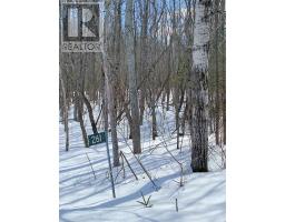 261 4 Th Line, Gore Bay, ON P0P1H0 Photo 6