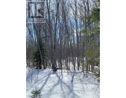 261 4 Th Line, Gore Bay, ON P0P1H0 Photo 7