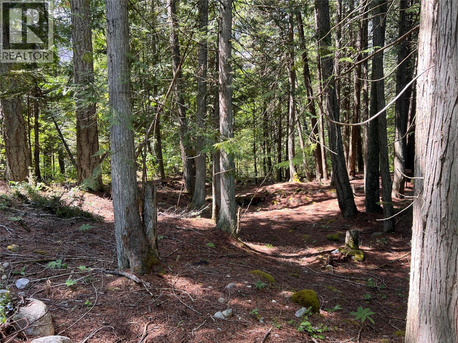 611 Slocan Street, Slocan