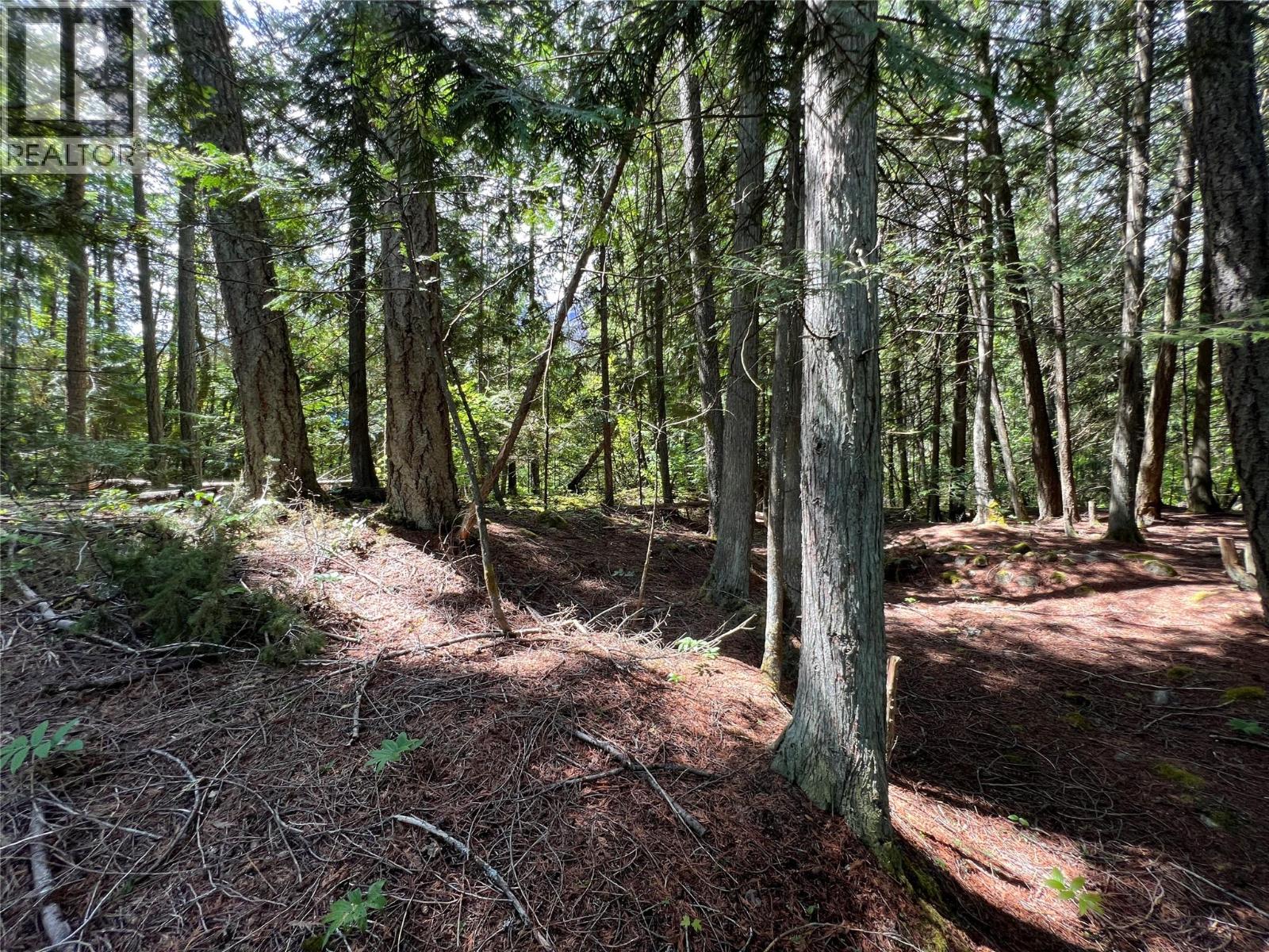 611 Slocan Street, Slocan