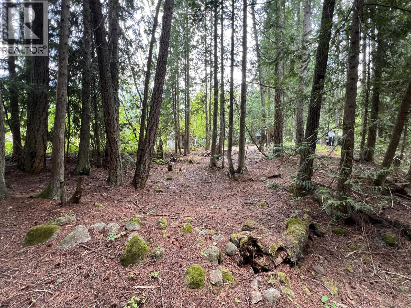 611 Slocan Street, Slocan