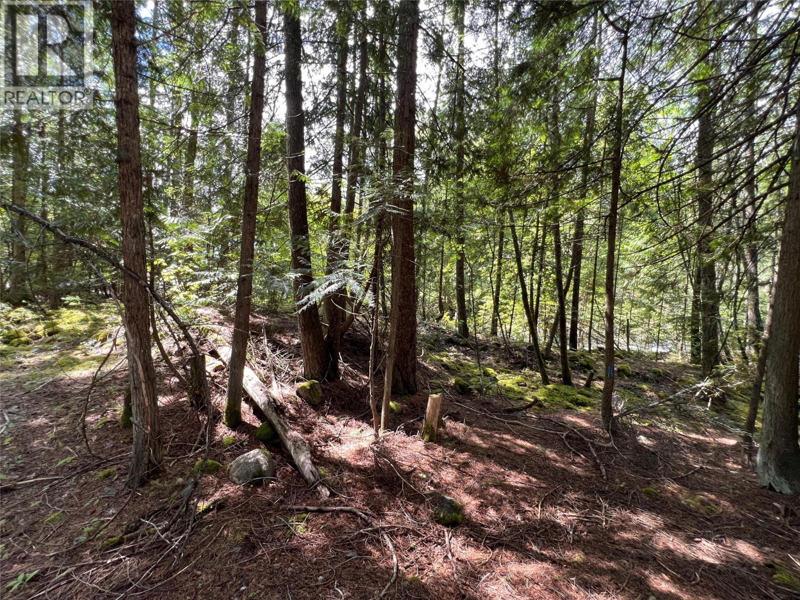 611 Slocan Street, Slocan