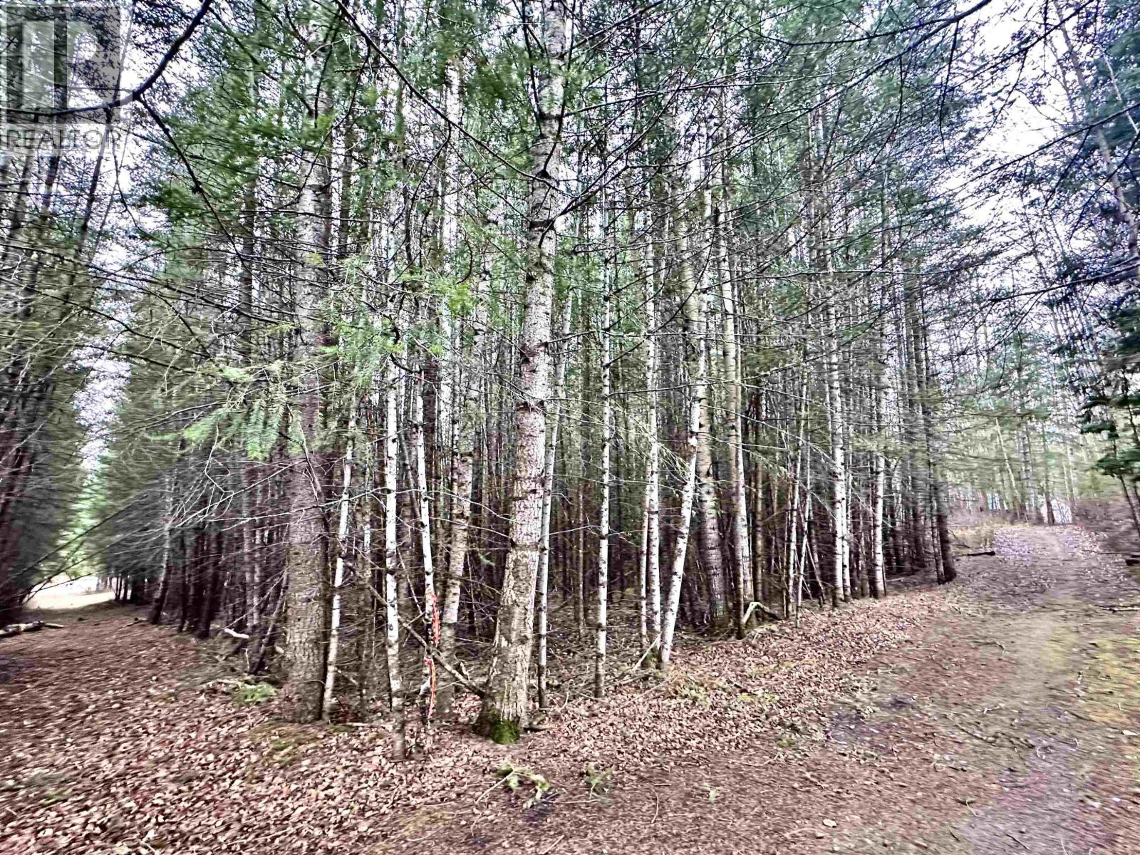 310 MOUNTAIN VIEW ROAD - 23