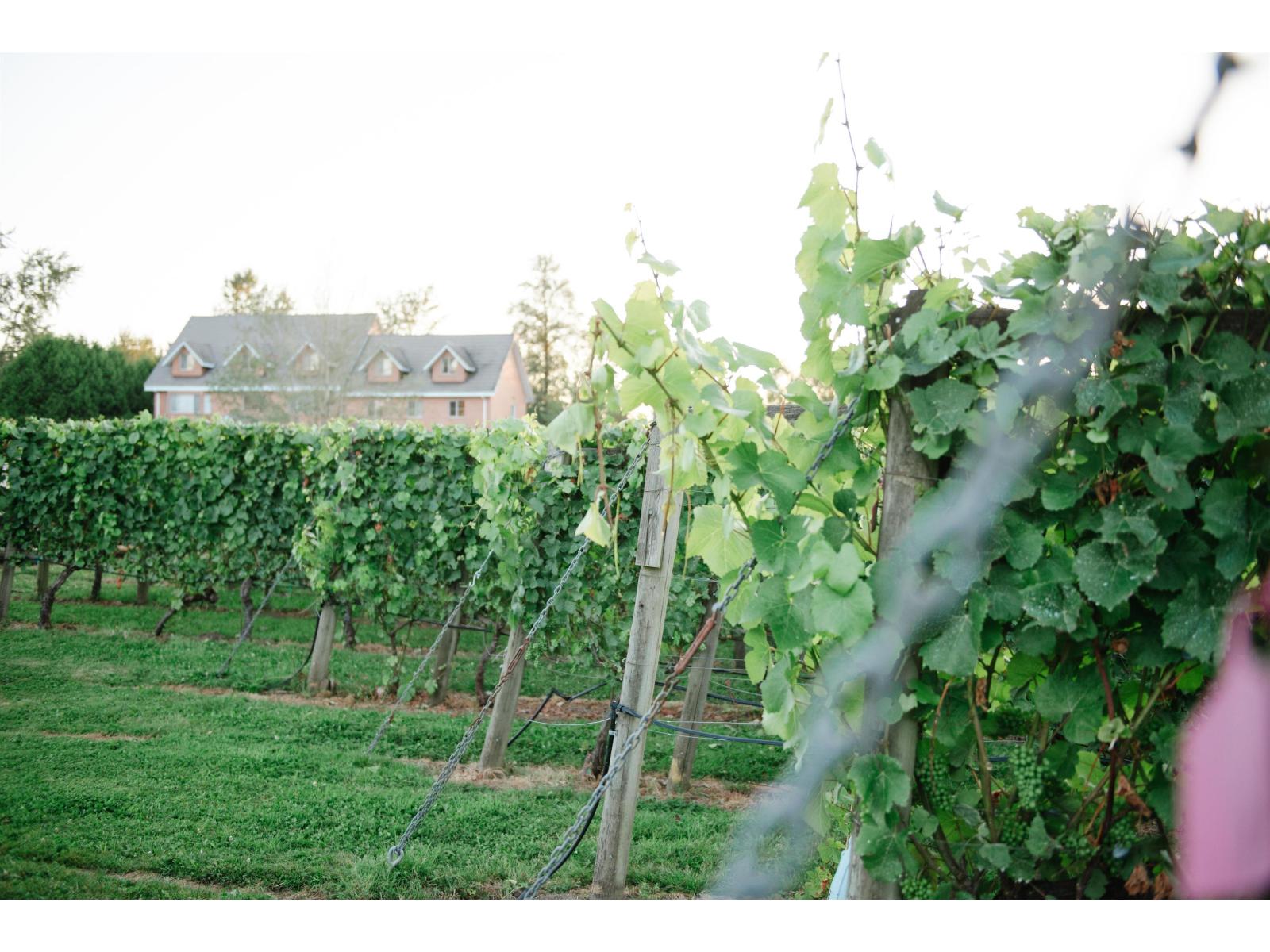 3033 232 Street - main photo