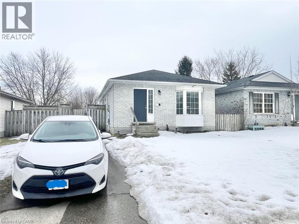 338 FLEMING Drive - 3