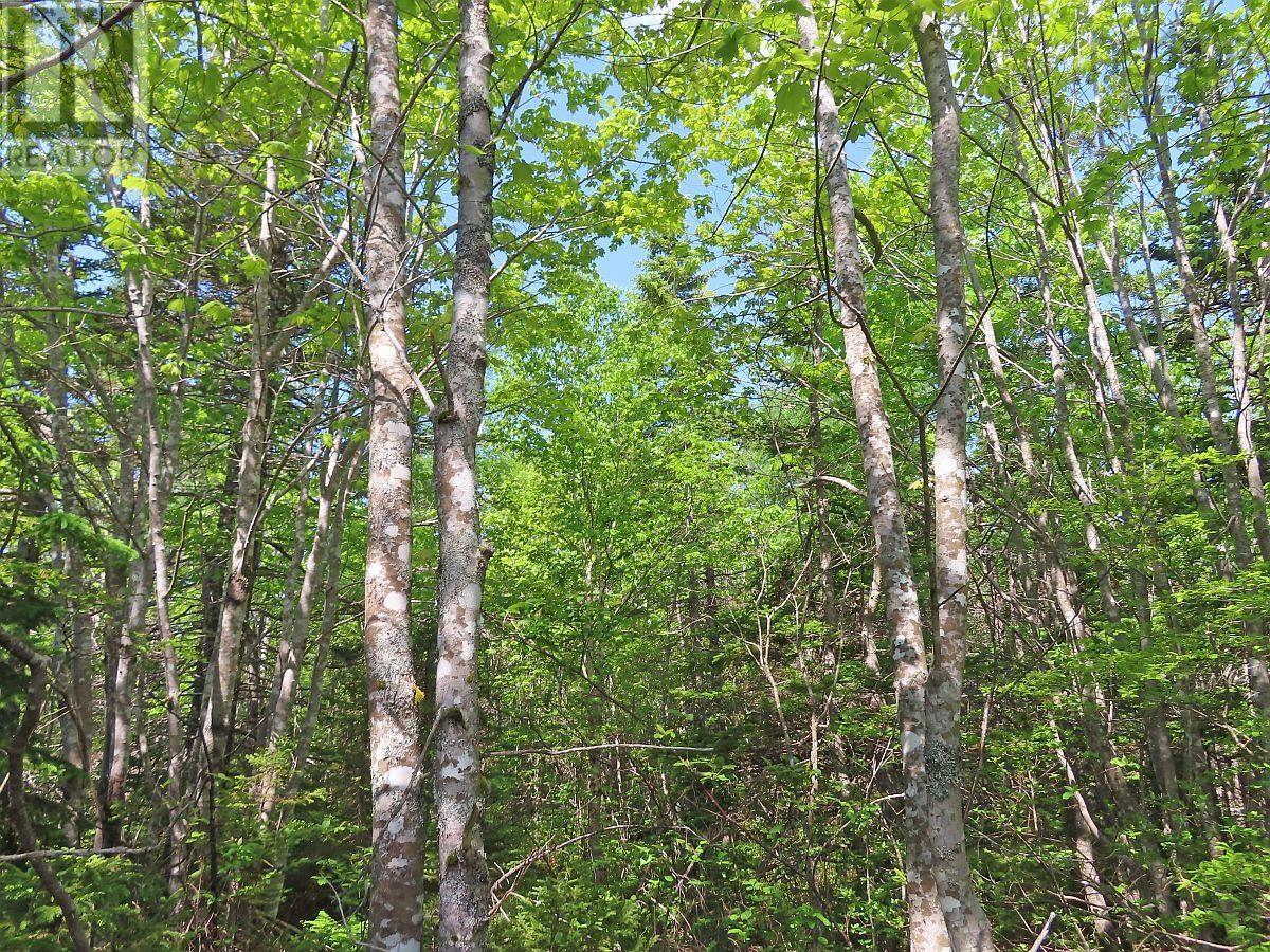 Property 11 of 32 of Lot 24 Perry Lane