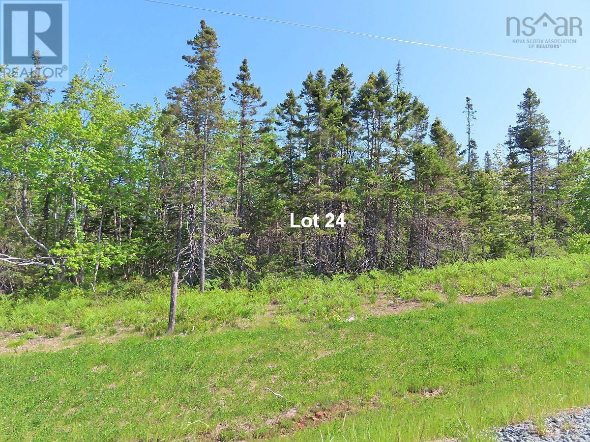 Property 16 of 32 of Lot 24 Perry Lane