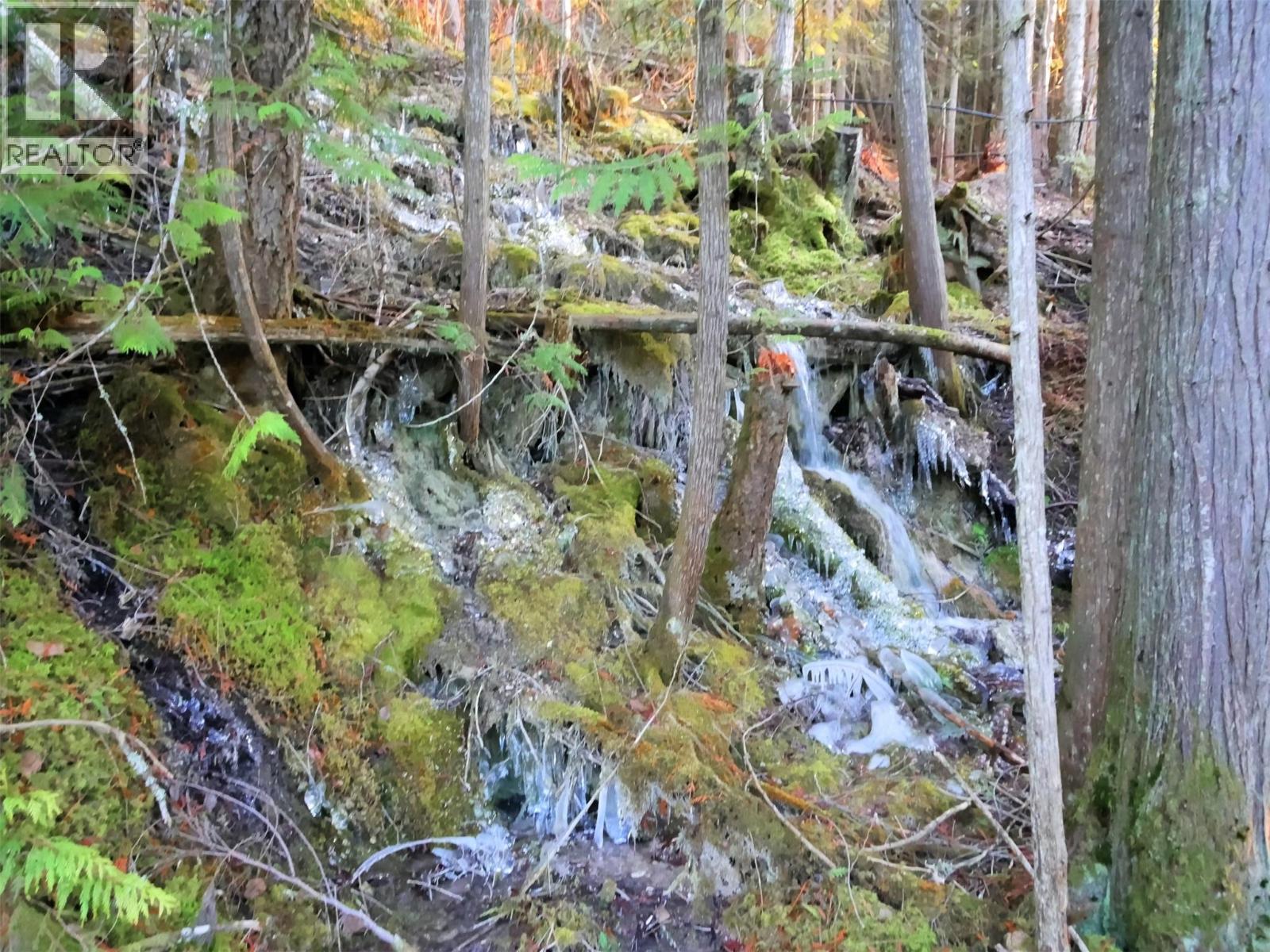 483 Bayview Road, Nakusp