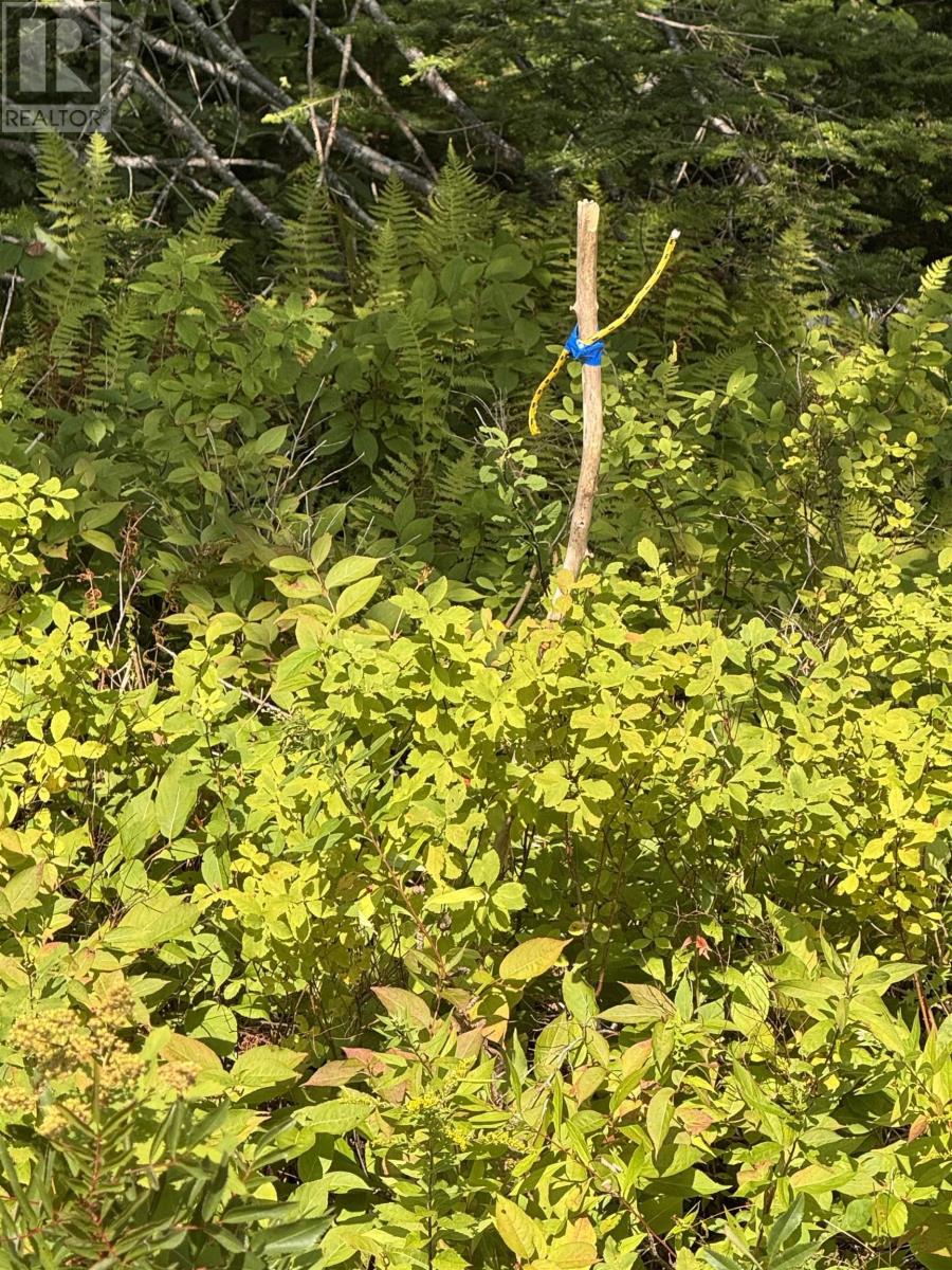 Property 4 of 4 of Lot 6 Highway 224