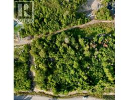 1191  137 Route 785, Utopia, NB E5C2L3 Photo 6