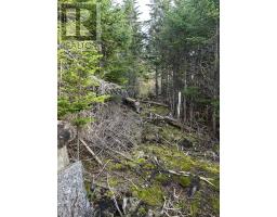 Lot # 03 Smith Sound Road thumbnail 5