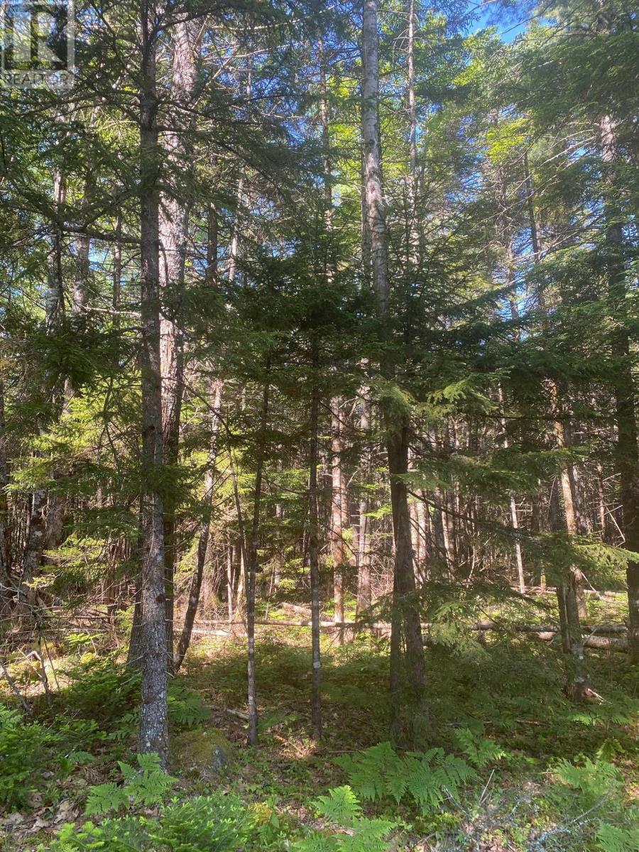 Property 4 of 5 of Lot (PID 60493061) Huey Lake Road