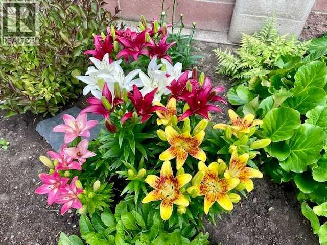 
          335 28 Street South
            <br/>
            <span>Lethbridge</span>
            , 
            <span>AB</span>
             <span>T1J3S7</span>
         - Photo 48