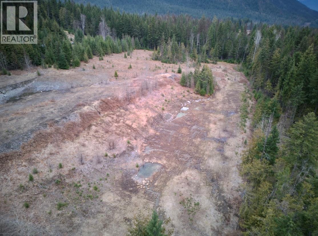 707 Billings Road, Nakusp