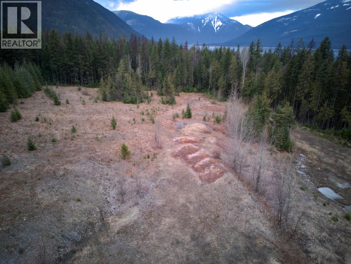 707 Billings Road, Nakusp