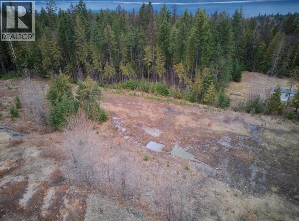 707 Billings Road, Nakusp