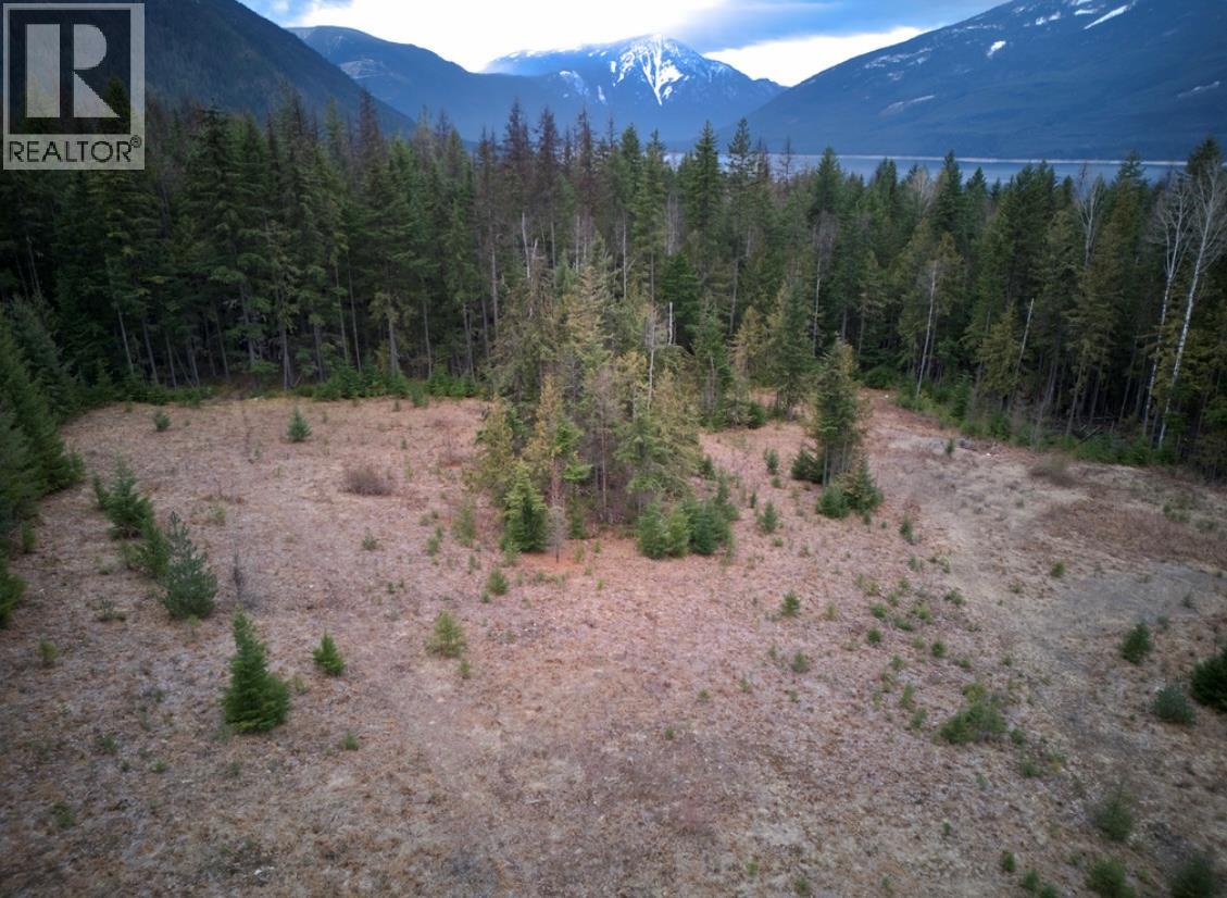 707 Billings Road, Nakusp