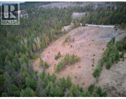 707 Billings Road, Nakusp, BC V0G1R1 Photo 8