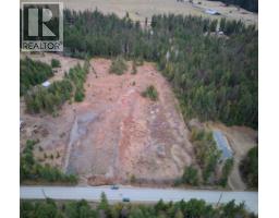 707 Billings Road, Nakusp, BC V0G1R1 Photo 11