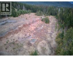707 Billings Road, Nakusp, BC V0G1R1 Photo 12
