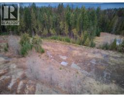 707 Billings Road, Nakusp, BC V0G1R1 Photo 9