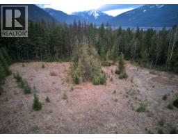 707 Billings Road, Nakusp, BC V0G1R1 Photo 13