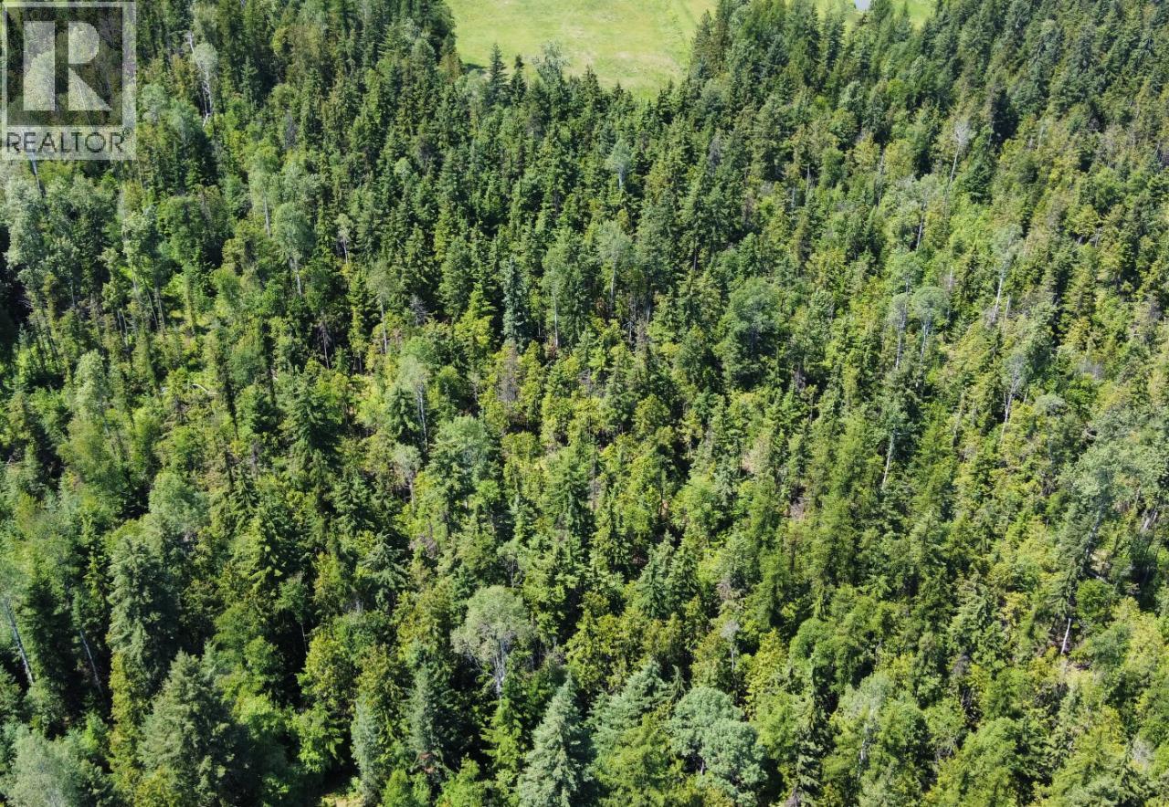 432 ALEXANDER Road, Nakusp