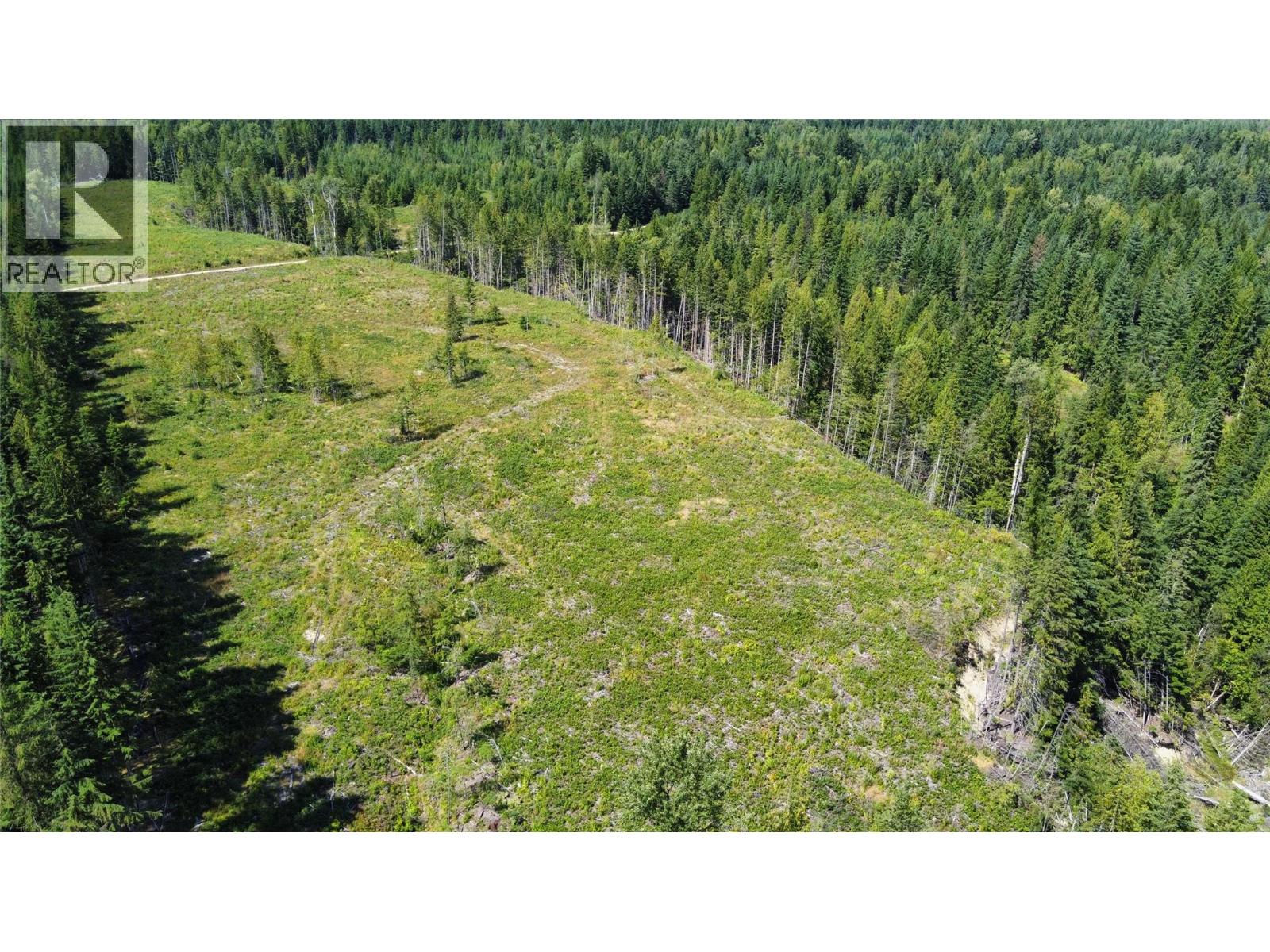 Agriculture for Sale in Arrow Park – ARROW PARK BELLEVUE Road Lot# LOT A - Image 10