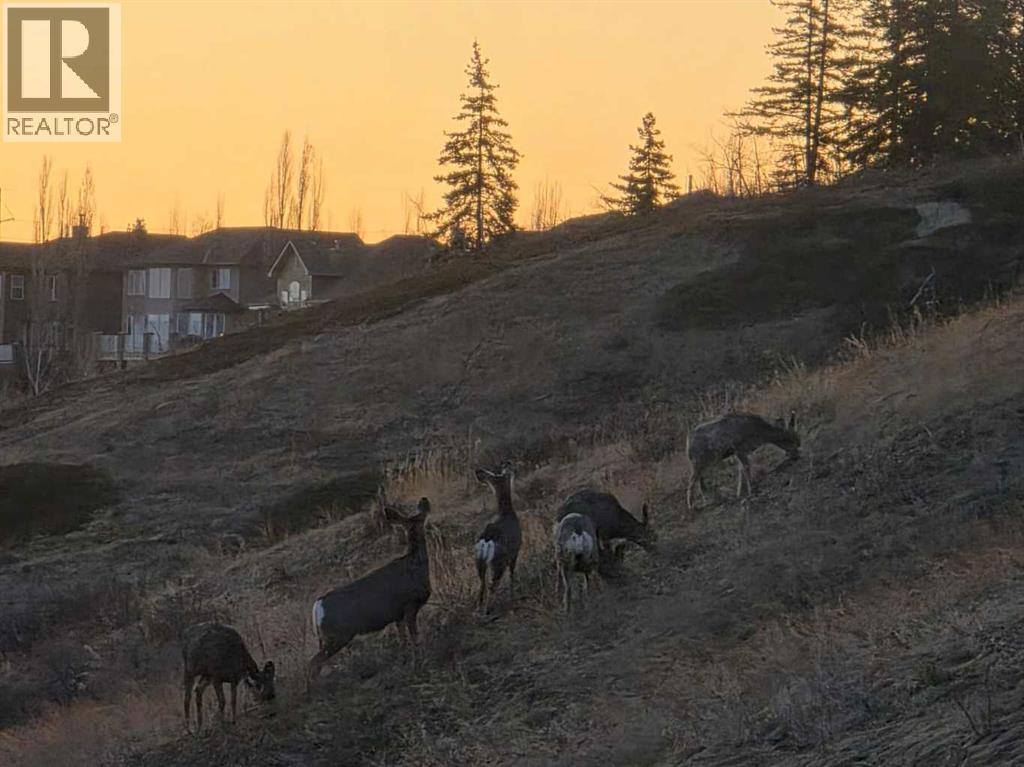 Single Family House for Sale in  Discovery Ridge Boulevard SW Discovery Ridge Calgary 