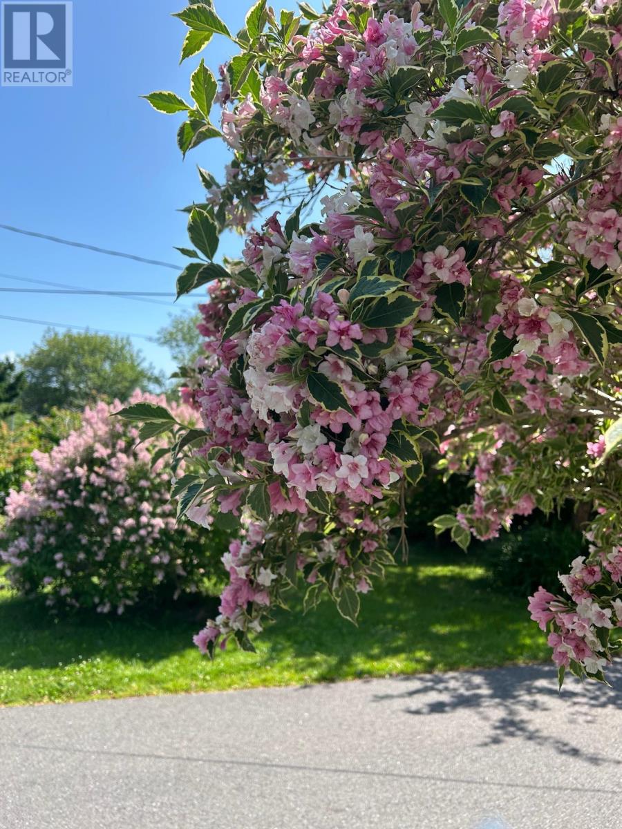 Property 45 of 47 of 55 Lighthouse Road