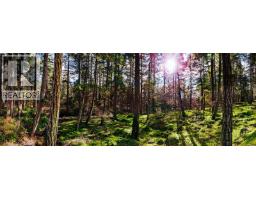 333 Main Rd, Lasqueti Island, BC V0R2J0 Photo 18