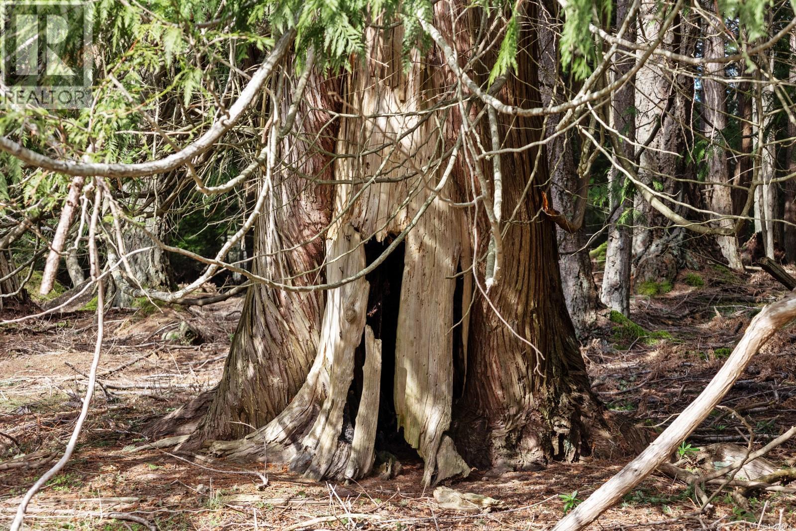 333 Main Rd, Lasqueti Island