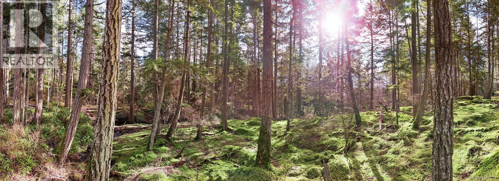 333 Main Rd, Lasqueti Island