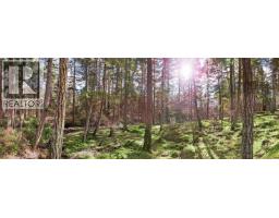 333 Main Rd, Lasqueti Island, BC V0R2J0 Photo 19