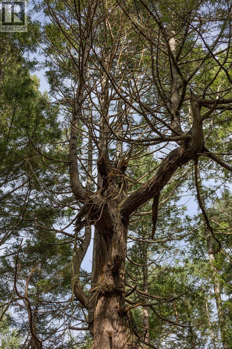 333 Main Rd, Lasqueti Island