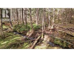 333 Main Rd, Lasqueti Island, BC V0R2J0 Photo 20