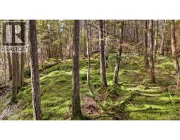 333 Main Rd, Lasqueti Island, BC V0R2J0 Photo 21