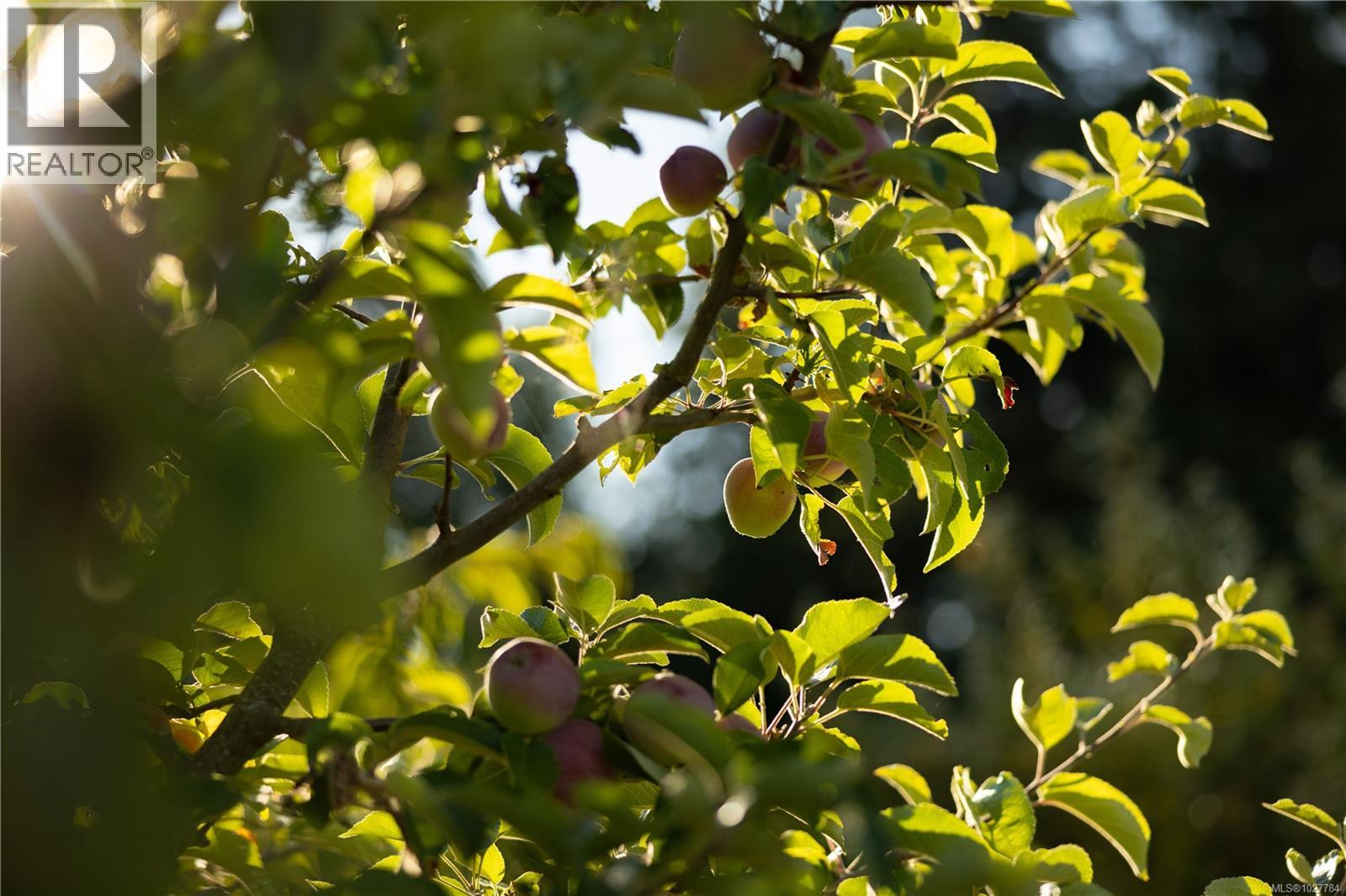 7756 West Saanich Rd - 58