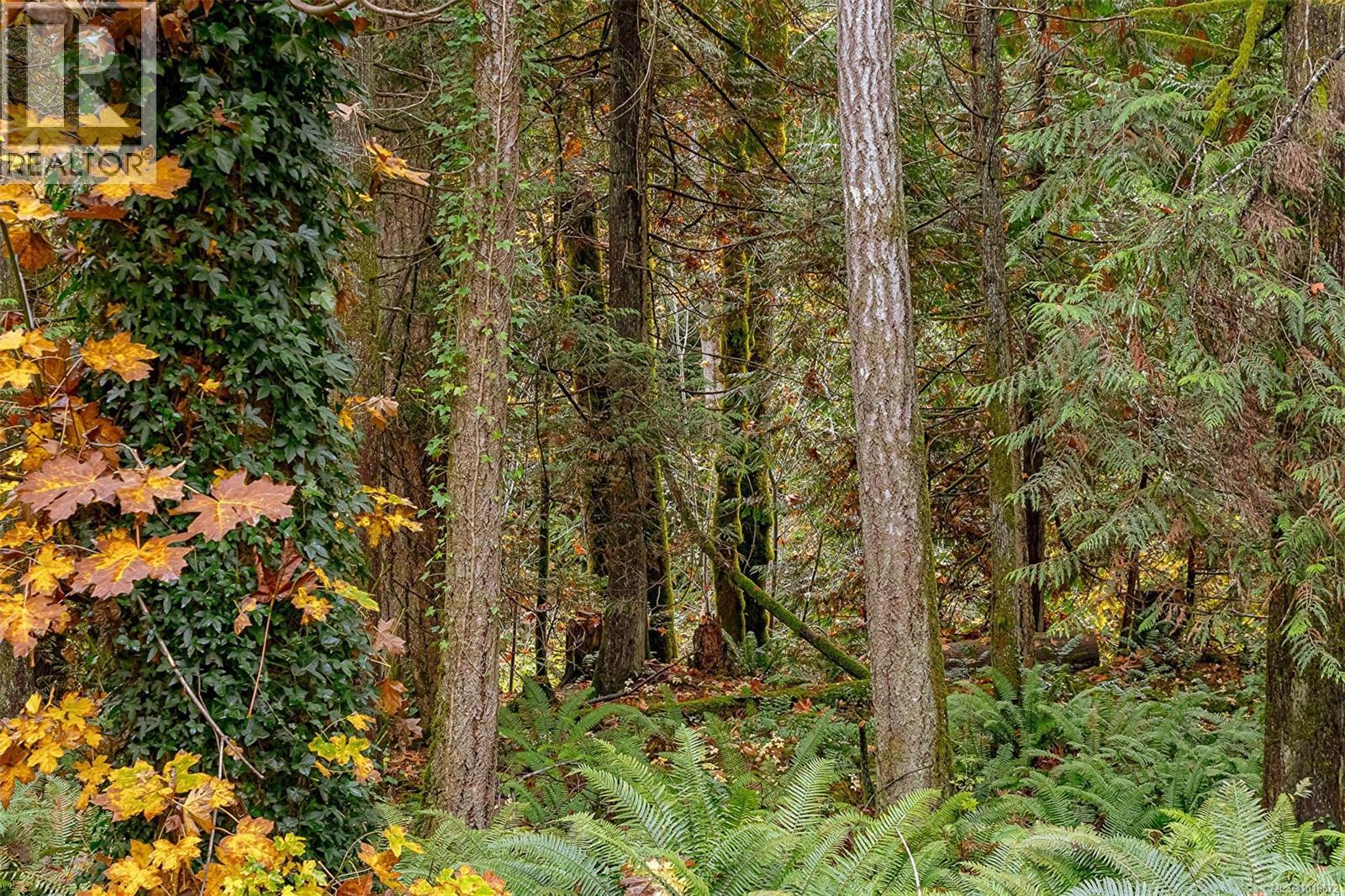 350 Dogwood Dr, Ladysmith