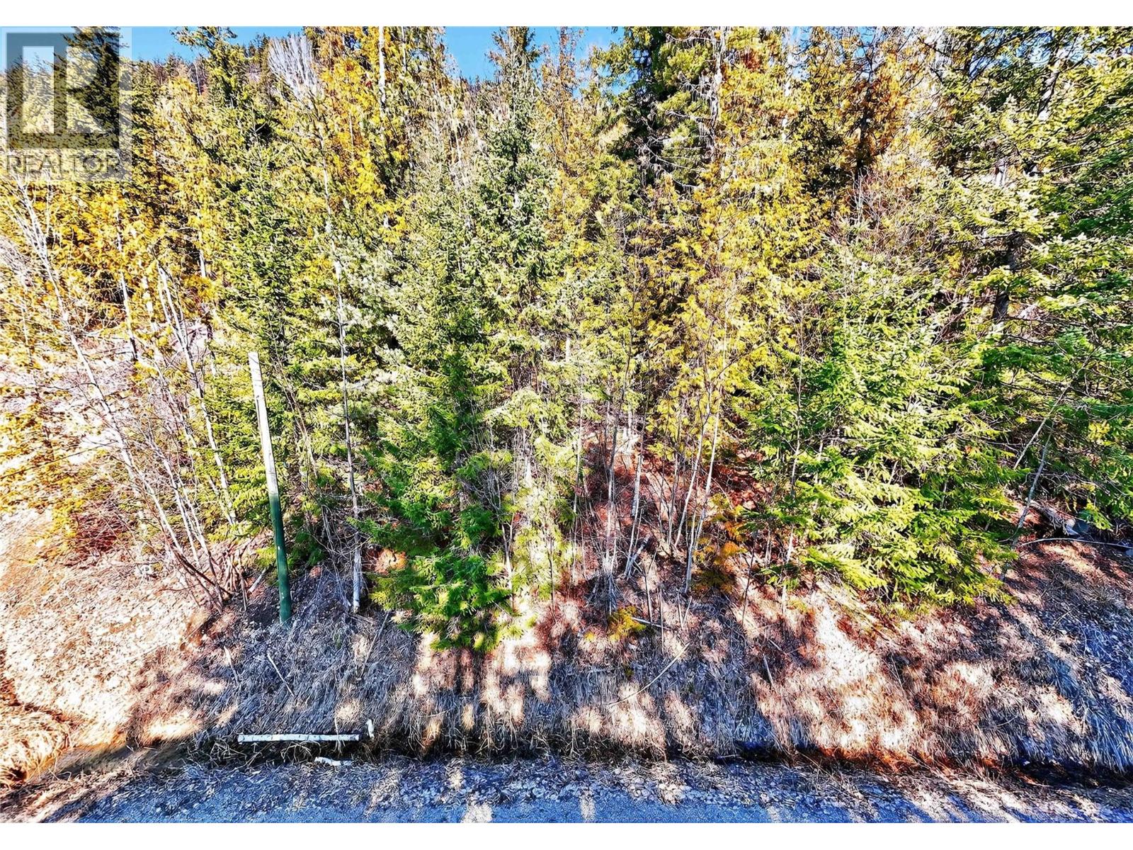 Castle Heights Lot# 53, Anglemont