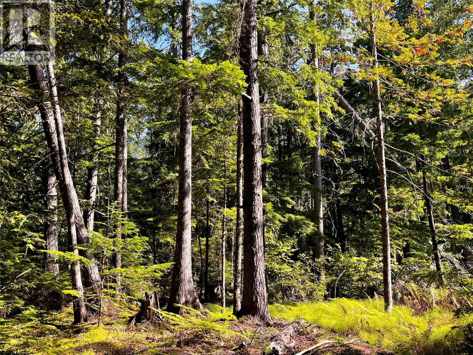 785 Beech Road, Nakusp