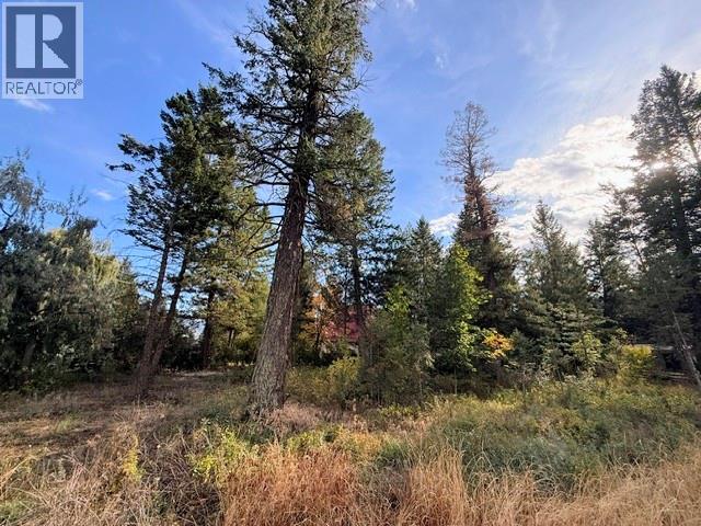 4534 Columbia View Road Lot# A, Fairmont Hot Springs